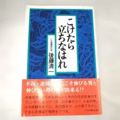 Item thumbnail for item 98c527b6-b808-482d-927d-678539b91127