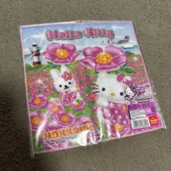 新品未使用】レア ハローキティ浜名湖花博ペア根付け＆ハンドタオル