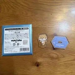 セブチ　ミニティーンカフェ　ディノ　アクスタ