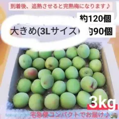 【期間限定！】和歌山県産 紀州南高梅 青梅