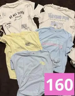 160 Tシャツ　まとめ売り