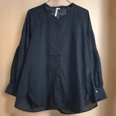 新品 レディース ブラウス ブラック 黒 長袖シャツ 透け感 シアーシャツ L