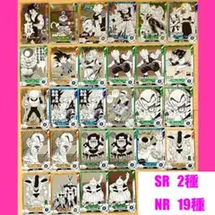 【SR2種+NR19種】ドラゴンボールスーパーダイバーズ　アドバンスパック