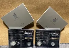 Item thumbnail for item 3ca111d8-1023-4183-8339-db900d8402fa