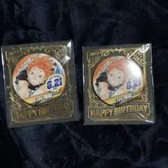 バースデー 缶バッジ 2022 ハイキュー 日向翔陽 2点 まとめ