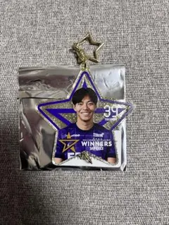 サンフレッチェ広島 中村草太 ルヴァンカップ優勝アクリルキーホルダー 2026年最新】中村草太の人気アイテム - メルカリ