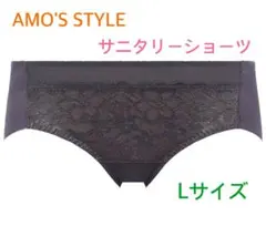 トリンプAMO'S STYLE後ろシームレスサニタリーショーツLグレー