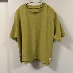 JaVa 半袖Tシャツ ジャガード生地　イエローグリーンのサムネイル