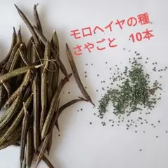 ふれい様 リクエスト 2点 まとめ商品