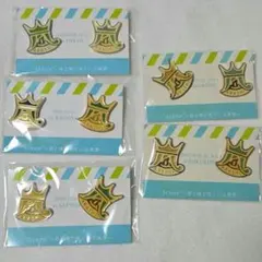 ARASHI10-11TOUR “Scene”～君と僕の見ている風景～ピンバッジ