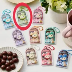 TWICE LOVELYS チョコがけボーロ＆チャーム JEONGVELY