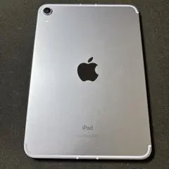 【極美品】iPad mini 6 (256GB) Wi-Fi+Cellular