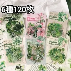 新！H59 植物ラボ ステッカー コラージュ素材 シール