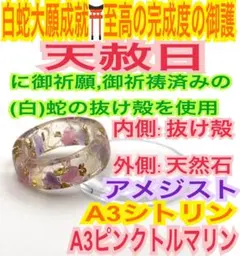 ずんだ(´-ω-`⭐︎様 リクエスト 2点 まとめ商品