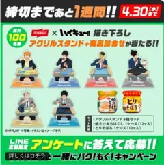 非売品 ハイキュー ニッスイ キャンペーン アクリルスタンド ハイキュー!! ×ニッスイコラボ 非売品アクリルスタンド 【赤葦京治】