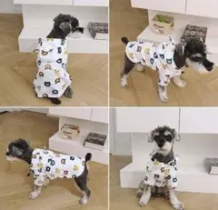 犬用　レインコート　くま柄　中型犬用(XLサイズ)のサムネイル