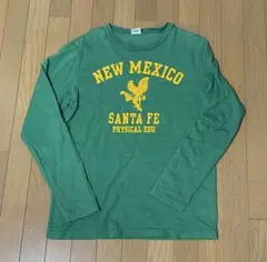 チャンピオン champion ロンT 長袖Tシャツ Mサイズ フロッキー