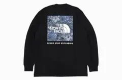 THE NORTH FACE ブラックロングスリーブTシャツ