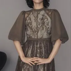 シアー素材 ボリューム袖 レース オケージョン ドレス 大きいサイズ