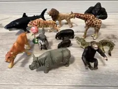 動物 フィギア フィギュア まとめ売り アニアなど アニア NEWカラーの豪華な動物フィギュア! AA-01 サバンナの最強