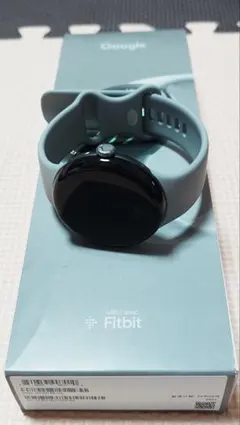 Google Pixel Watch 3 45mm Wi-Fiモデル