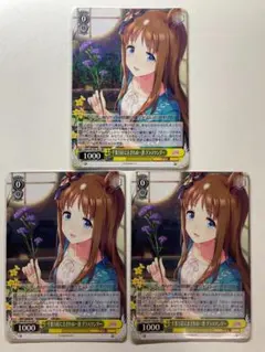 2026年最新】グラスワンダー ヴァイスシュヴァルツの人気アイテム