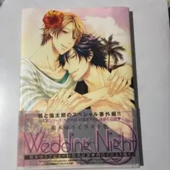 Wedding Night 萌木ゆう　初イラスト集　デビュー10周年記念　初版