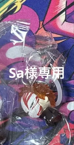 Sa様専用