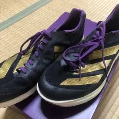 Item thumbnail for item 3346aab5-6a79-43d9-96d3-ebde19a70a90