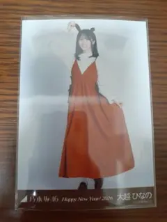 Item thumbnail for item 82b41aeb-752e-43fb-b352-1741f488df4a