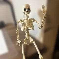 がいこつ おもちゃ