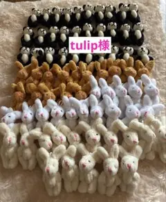 tulip様用セット