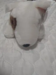 Ty Beanie Babies ブルテリア ぬいぐるみのサムネイル