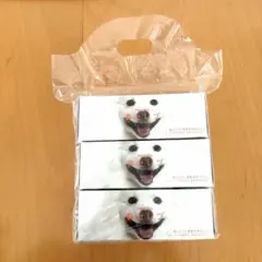 Spitz⭐ミニ鼻セレブ ゴースカ ファンクラブ限定 スピッツ 犬 ベルゲンのサムネイル