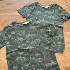 恐竜 Tシャツ 130cm 2枚セット