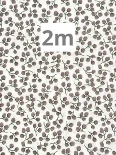 <ほぼ新品> リバティ タナローン ネリー Nellie あずきミルク2m