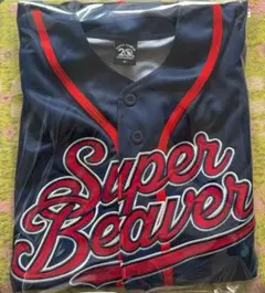 SUPER BEAVER 20周年 ベースボールシャツ ストライプ Mサイズ - メルカリ