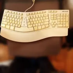 Microsoft Natural Keyboard Elite 本体