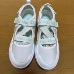 Item thumbnail for item 391807ac-05df-4018-8ee5-0c31e6850582