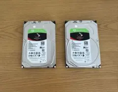 Seagate IronWolf 4TB HDD x2個ST4000VN006
