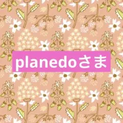 planedoさま専用☆。.:＊・゜