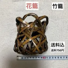 Item thumbnail for item 738b4830-5401-4c93-a30f-1bf0beab47d3