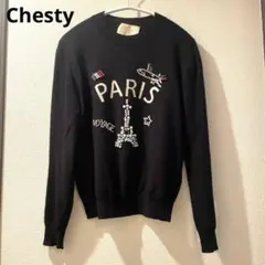 お値下げ‼️Chesty チェスティ ビジュー ニット セーター エッフェル塔