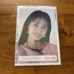 櫻坂46 生写真 向井純葉 何歳の頃に戻りたいのか ジャケ写 ヨリ