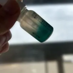 Item thumbnail for item 7aadcfe1-903b-42fa-b39d-7db7131eaeda