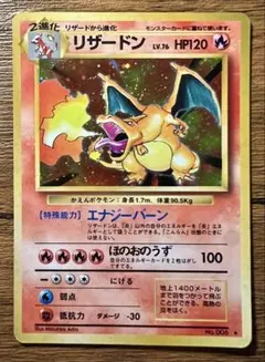 PSA10 ヒトカゲ リザード リザードンGX 連番 ファミリーポケモン