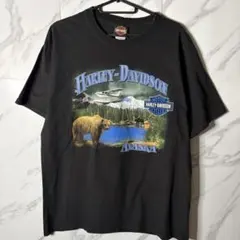 [早い者勝ち] Harley-Davidson アラスカ Tシャツ ブラック　L