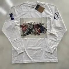 Item thumbnail for item 0f88888a-b41a-41f5-91c3-a274fb505f6c