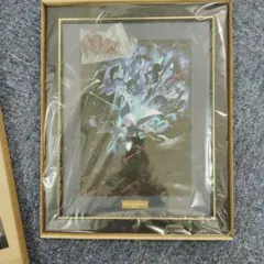 ENDER MAGNOLIA キャラファイングラフ