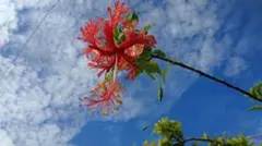 やまりよーこ様 リクエスト 2点 まとめ商品